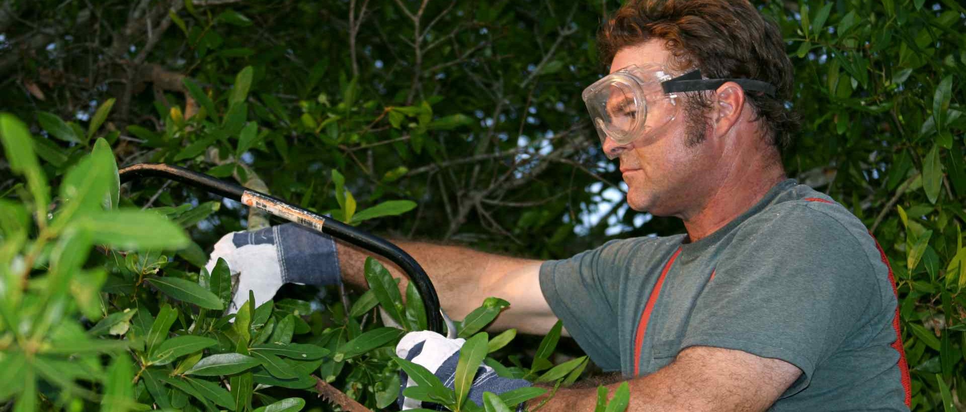 garden clearance DA9